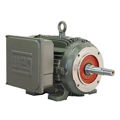 WEG Electric 00718ES1E215JM - Weg Motor